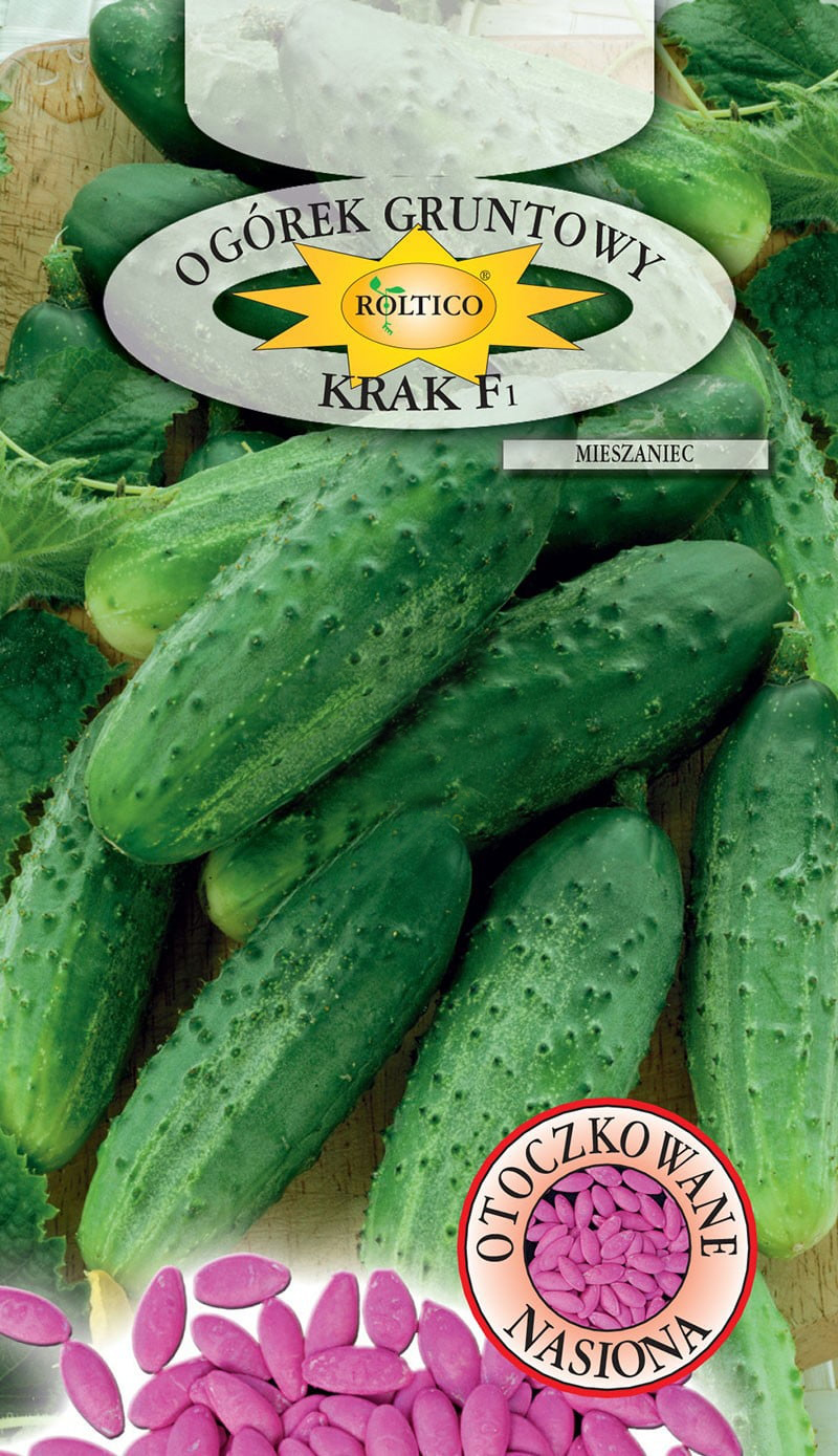 Ogórek gruntowy Krak - mieszaniec F1