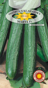 Ogórek szklarniowy Marta - mieszaniec F1