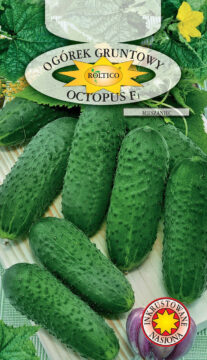 Ogórek gruntowy Octopus - mieszaniec F1