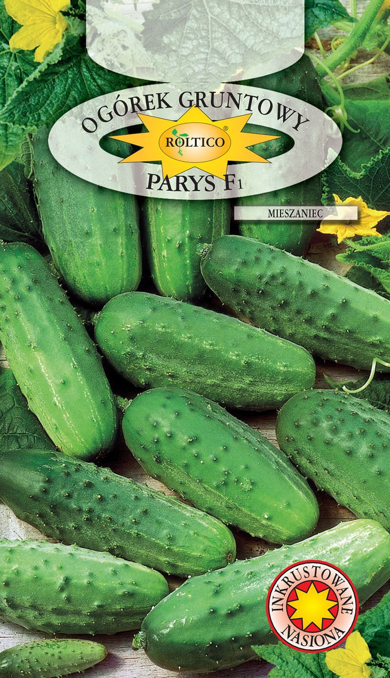 Ogórek gruntowy Parys - mieszaniec F1