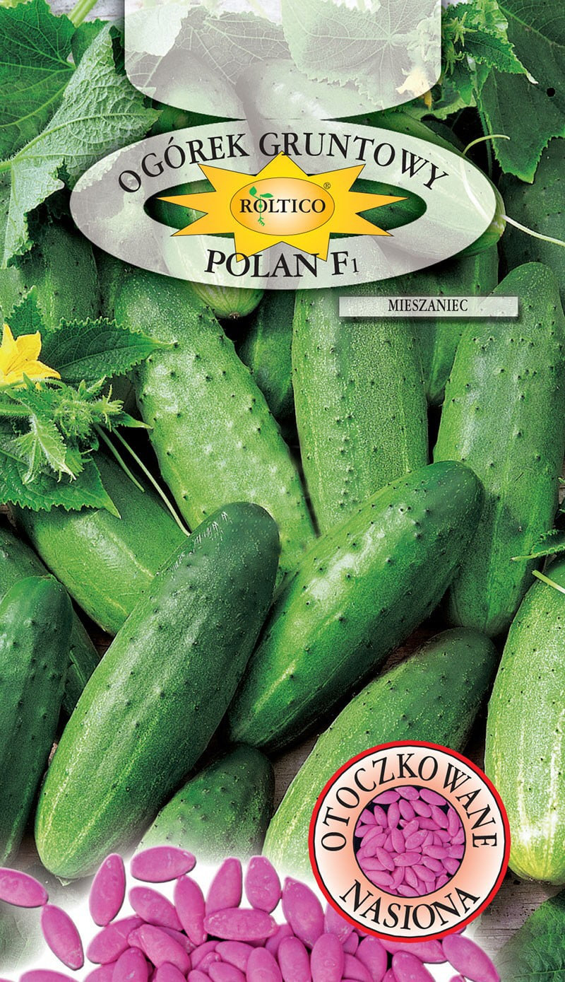 Ogórek gruntowy Polan - mieszaniec F1