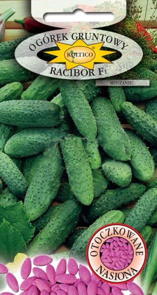 Ogórek gruntowy Racibor - mieszaniec F1 - obrazek 2