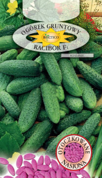 Ogórek gruntowy Racibor - mieszaniec F1