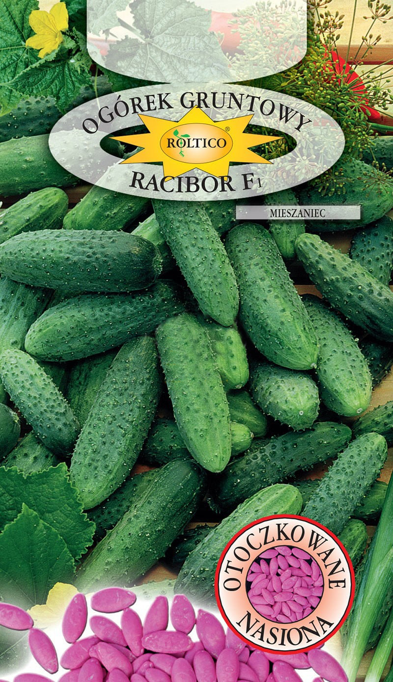 Ogórek gruntowy Racibor - mieszaniec F1