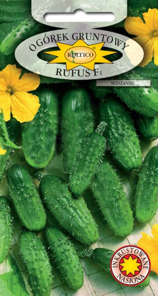 Ogórek gruntowy Rufus - mieszaniec F1 - obrazek 2