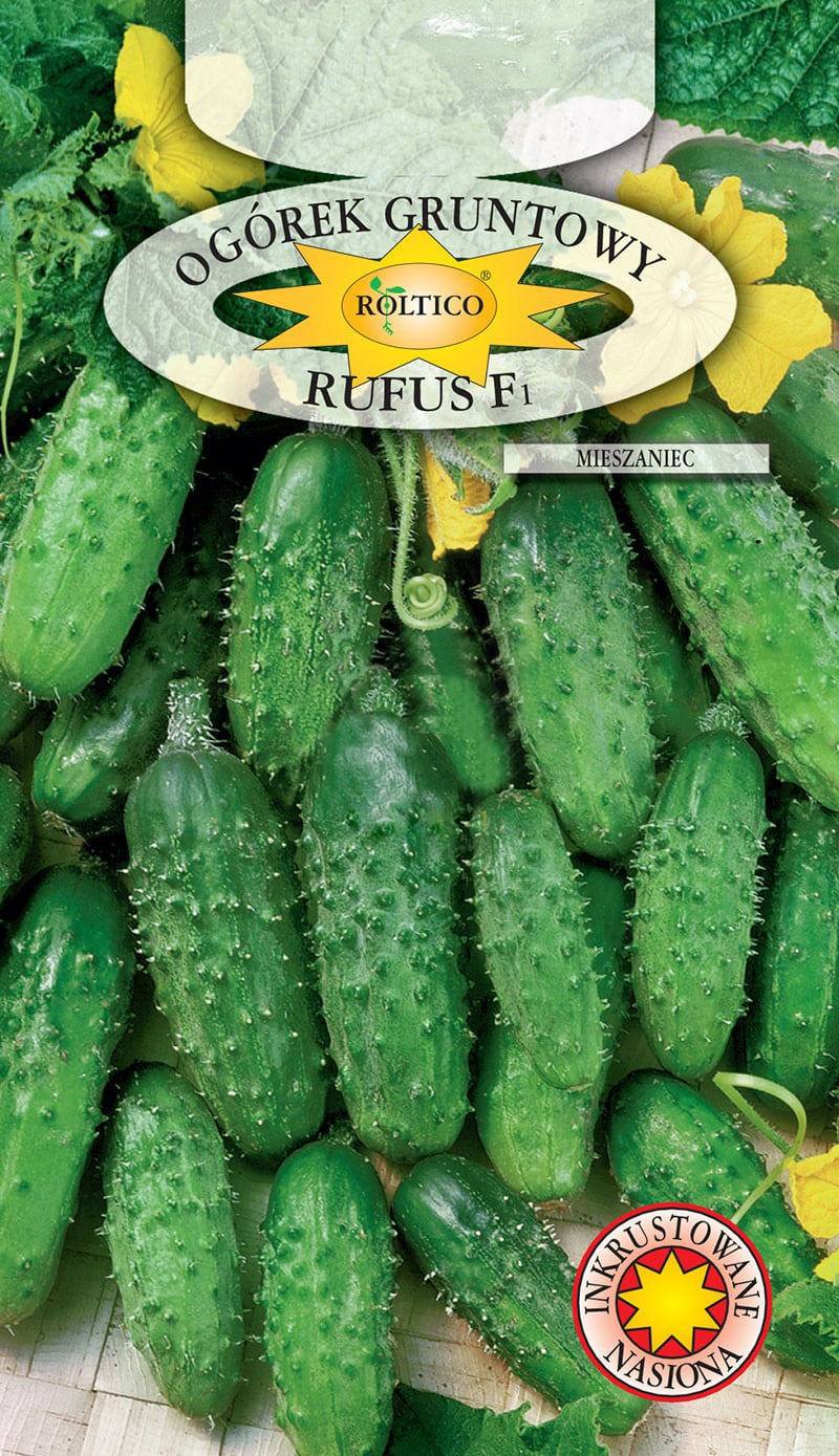 Ogórek gruntowy Rufus - mieszaniec F1