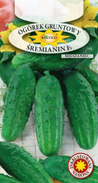 Ogórek gruntowy Śremianin - mieszaniec F1