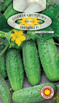 Ogórek gruntowy Śremski - mieszaniec F1