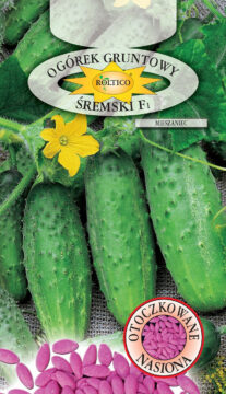 Ogórek gruntowy Śremski – mieszaniec F1