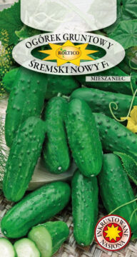 Ogórek gruntowy Śremski Nowy - mieszaniec F1