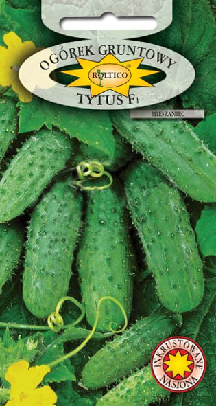 Ogórek gruntowy Tytus - mieszaniec F1 - obrazek 2