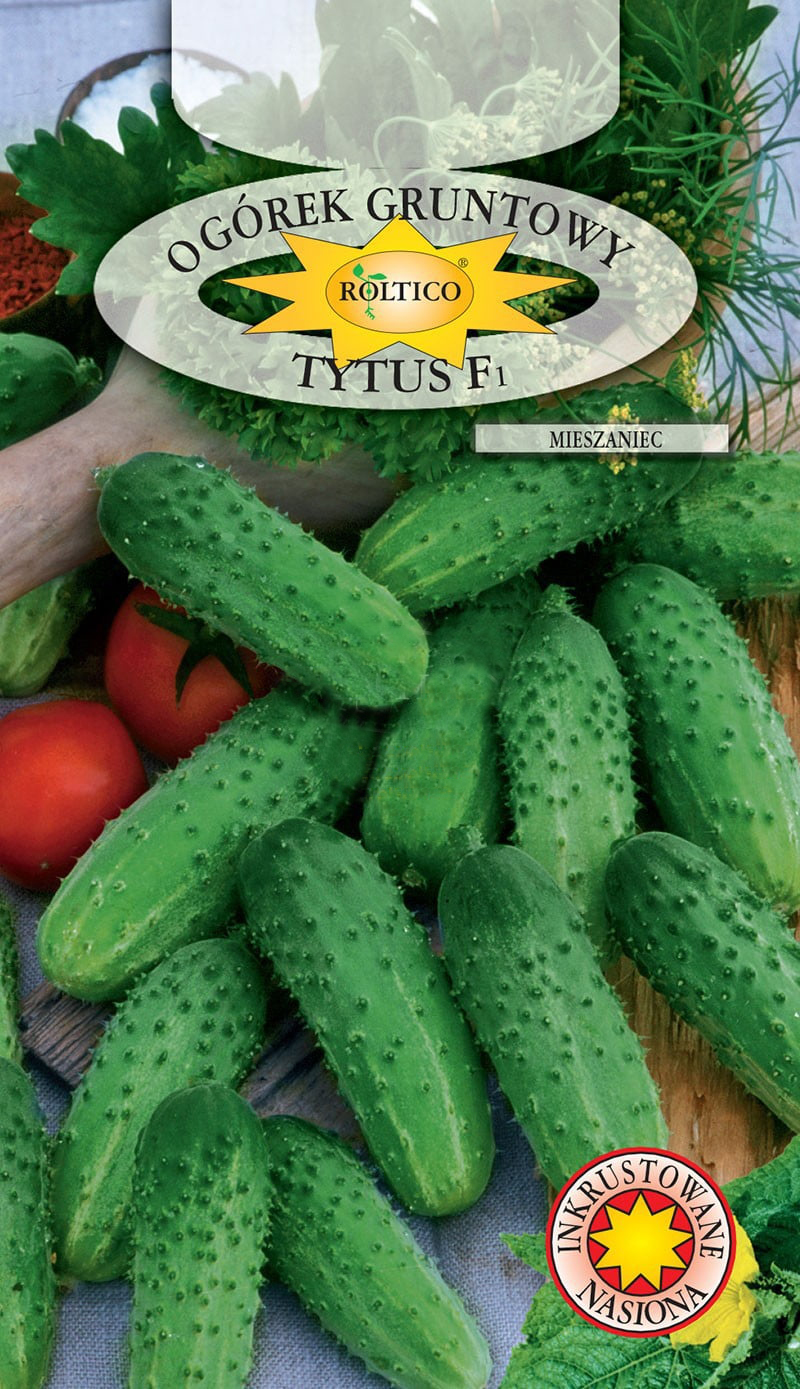 Ogórek gruntowy Tytus - mieszaniec F1