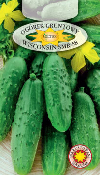 Ogórek gruntowy Wisconsin SMR 58