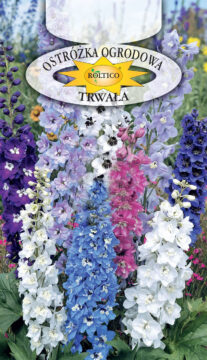 Ostróżka ogrodowa trwała - Mieszanka