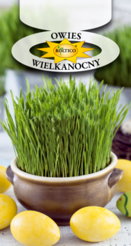 Owies wielkanocny