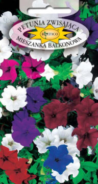 Petunia zwisająca balkonowa - Mieszanka