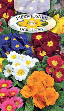 Pierwiosnek ogrodowy wyniosły - Mieszanka