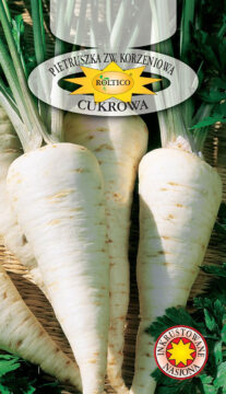 Pietruszka korzeniowa Cukrowa