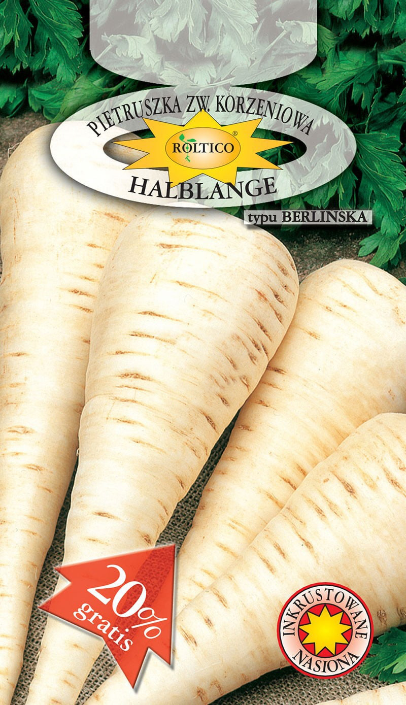 Pietruszka korzeniowa Halblange - Berlińska
