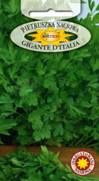 Pietruszka naciowa Gigante D'Italia