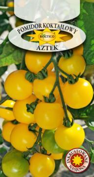 Pomidor Koktajlowy Aztek