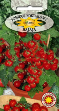 Pomidor koktajlowy (balkonowy) Bajaja