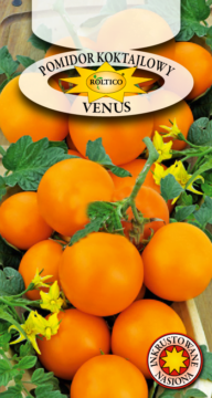 Pomidor Koktajlowy Venus