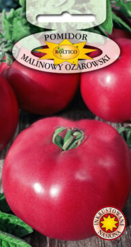 Pomidor gruntowy Malinowy Ożarowski