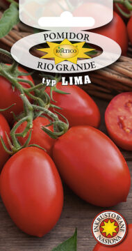 Pomidor Rio Grande (typ Lima)