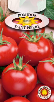Pomidor gruntowy Saint Pierre