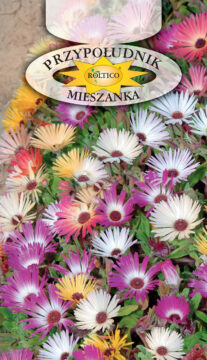 Przypołudnik - Mieszanka