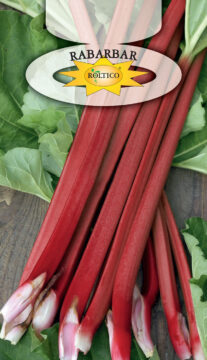 Rabarbar