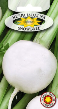 Rzepa jadalna Snowball