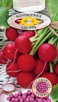 Rzodkiewka Carmen