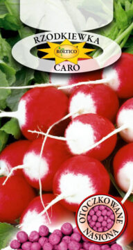 Rzodkiewka Caro