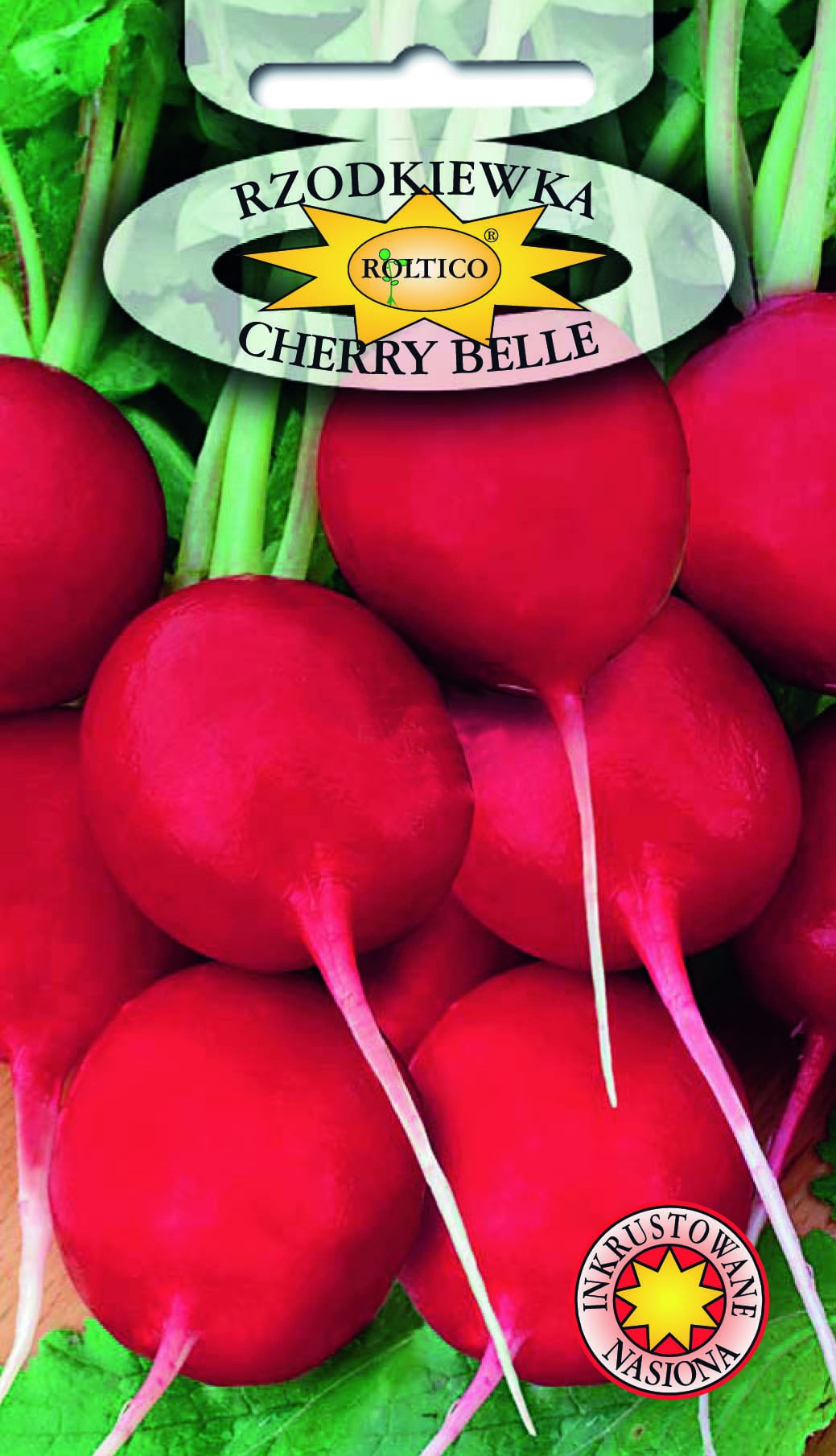 Rzodkiewka Cherry Belle - obrazek 2