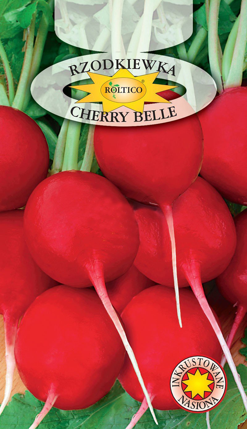 Rzodkiewka Cherry Belle