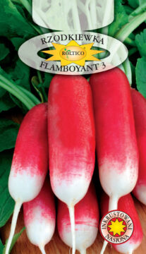 Rzodkiewka Flamboyant 3