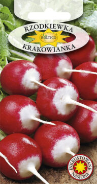 Rzodkiewka Krakowianka