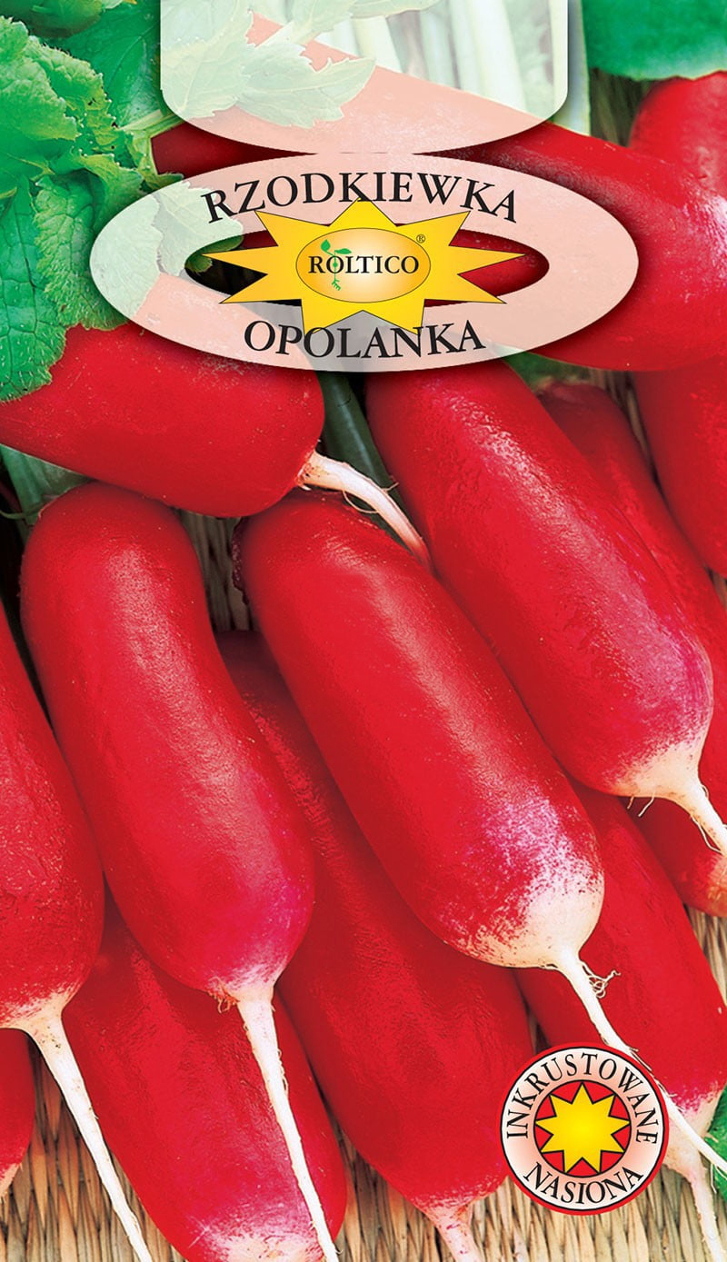 Rzodkiewka Opolanka