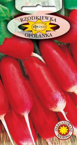 Rzodkiewka Opolanka - obrazek 2