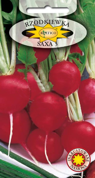 Rzodkiewka Saxa 3 - obrazek 2