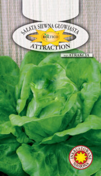 Sałata Attraktion - Atrakcja