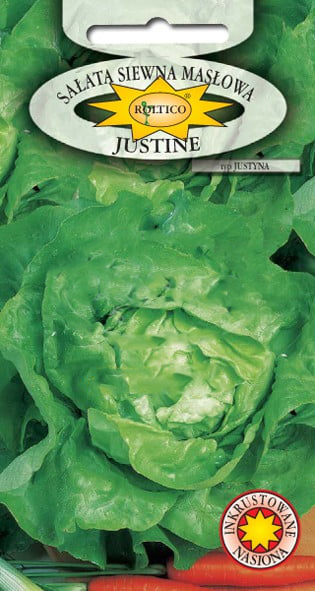 Sałata Justine - Justyna - obrazek 2