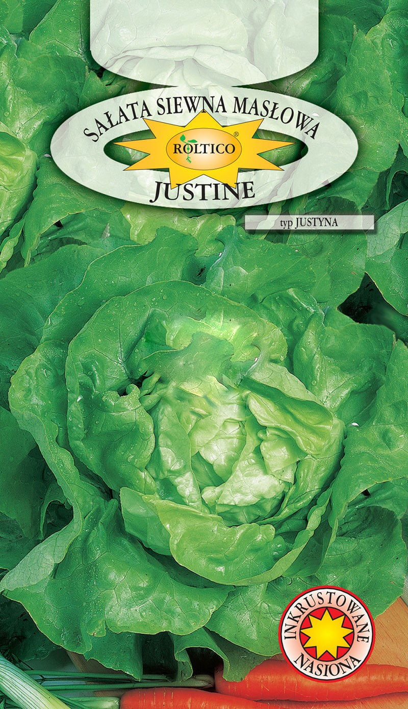 Sałata Justine - Justyna