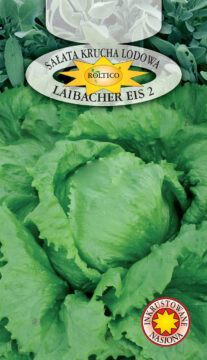 Sałata Krucha Lodowa Laibacher Eis 2