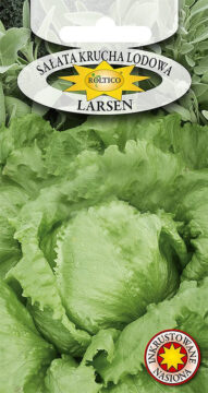 Sałata Krucha Lodowa Larsen