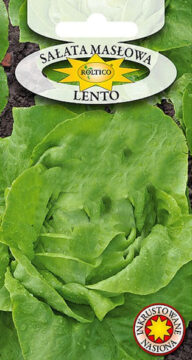 Sałata masłowa Lento