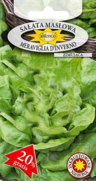 Sałata masłowa Meraviglia D'Inverno - zimująca
