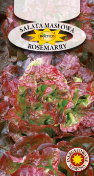 Sałata Masłowa Rosemarry